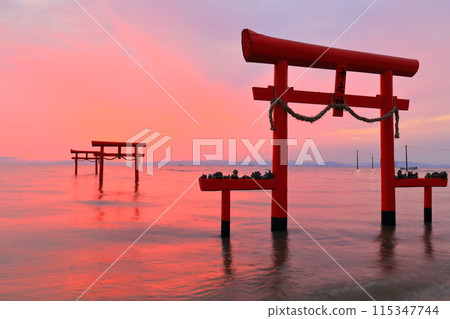 [Saga Prefecture] The underwater torii gates of Ooguo Shrine at sunrise 115347744