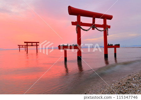 [Saga Prefecture] The underwater torii gates of Ooguo Shrine at sunrise 115347746