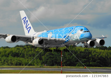 Return flight 115347863
