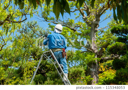 Gardener 2 115348053