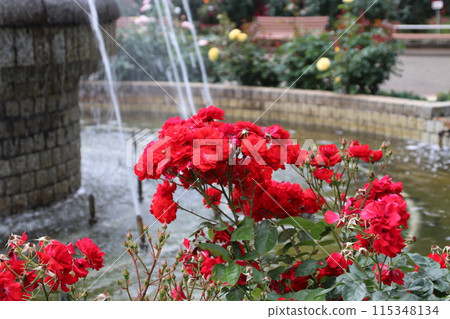 Ingrid Wable 115348134