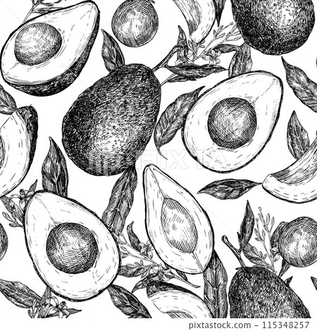 Seamless pattern with avocado hass graphic illustration, hand drawn sketch of vegetable,sliced avocado, leaves, flowers. Botanical drawing of tropical fruit. Engraving for food packaging design. Seamless pattern with avocado hass graphic illustration, hand drawn sketch of vegetable,sliced avocado, leaves, flowers. Botanical drawing of tropical fruit. Engraving for food packaging design. 115348257