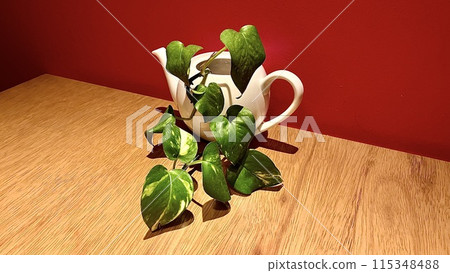 常春藤纏繞在茶壺周圍 115348488