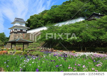 【長崎縣】晴天大村公園的板敷塔和鳶尾(久島城) 【長崎縣】晴天大村公園的板敷塔和鳶尾(久島城) 115348525