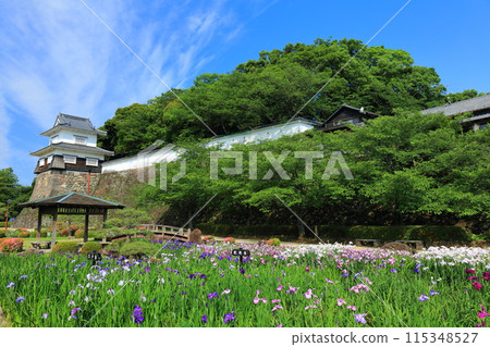 【長崎縣】晴天大村公園的板敷塔和鳶尾（久島城） 115348527