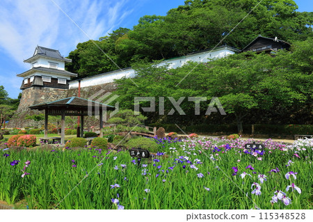 [Nagasaki Prefecture] Wooden turret and irises in Omura Park on a clear day (Kushima Castle) 115348528