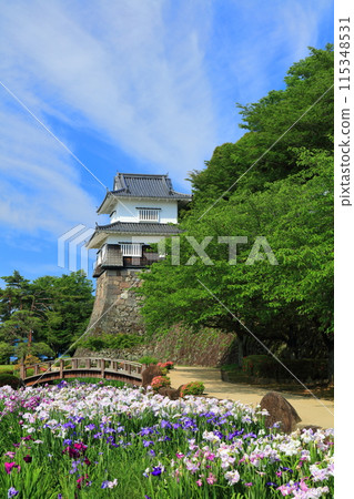 【長崎縣】晴天大村公園的板敷塔和鳶尾（久島城） 115348531