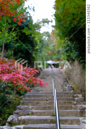 [Kyoto] Autumn leaves of Nison-in Temple 115348562