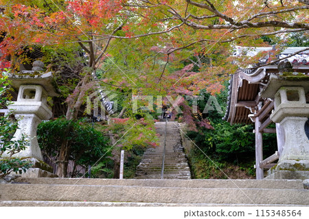 [京都] Nisonin的秋葉 115348564
