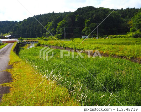 懷舊的風景 115348719