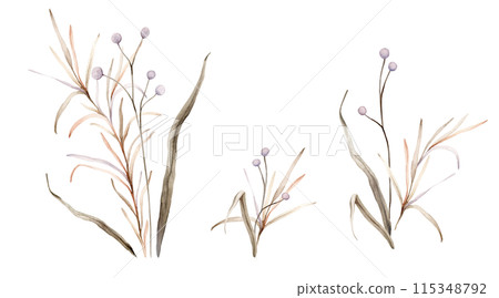Set of watercolor fantasy botanical illustration branches and light purple flowers. Lilac circle floral illustration. Fall vibes. Hand painted drawing isolated on background. floral herds pastel color 115348792