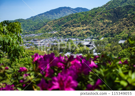 【京都風景】蹴上淨水廠的杜鵑花 115349055