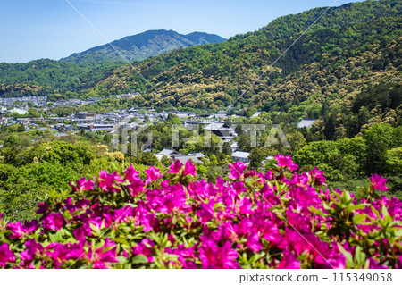 【京都風景】蹴上淨水廠的杜鵑花 115349058