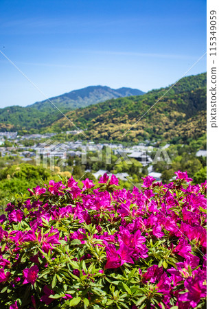 【京都風景】蹴上淨水廠的杜鵑花 115349059
