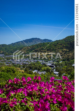 【京都風景】蹴上淨水廠的杜鵑花 115349061