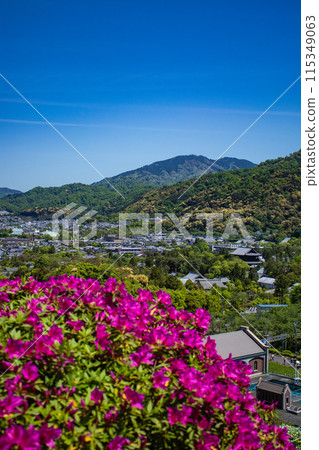 【京都風景】蹴上淨水廠的杜鵑花 115349063