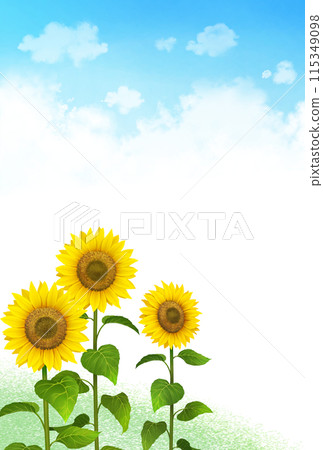 向日葵和雷雲夏天背景垂直 115349098