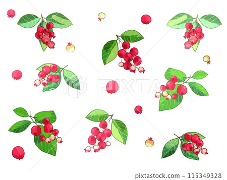 六月莓果手寫水彩插圖 六月莓果手寫水彩插圖 115349328