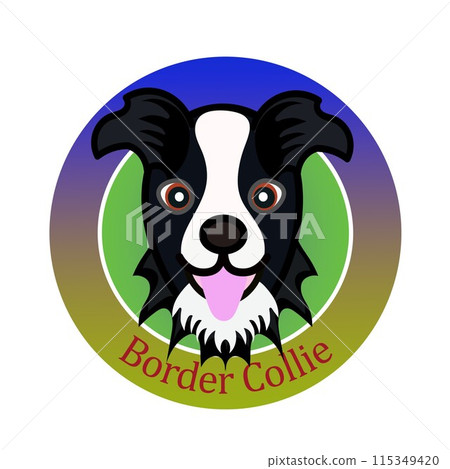 Border collie face illustration emblem 115349420