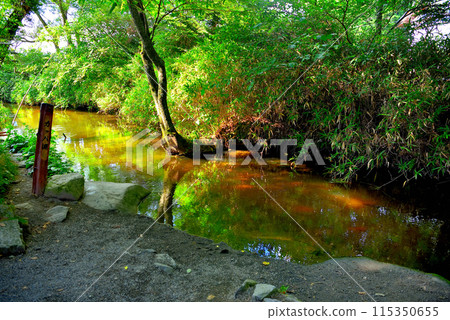 Tohoku, Tono, Kappa Pool - The image of the pool has not changed since the time of the Tono Tales, when kappas used to swim - Tono City, Iwate Prefecture 115350655
