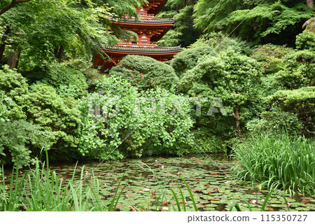 Gansenji Temple: Three-story pagoda and Aji Pond Gansenji Temple: Three-story pagoda and Aji Pond 115350727