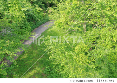 View from Nanohanadai Observatory, Hadano City, Kanagawa Prefecture 115350765