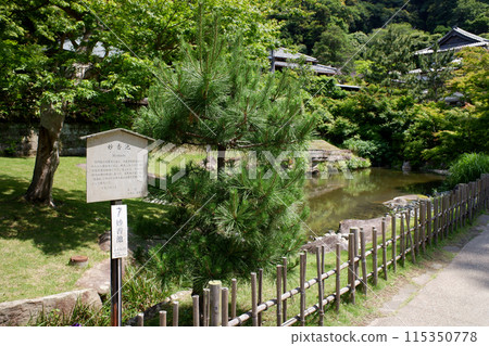 Kamakura Engakuji Temple and Myoko Pond 115350778