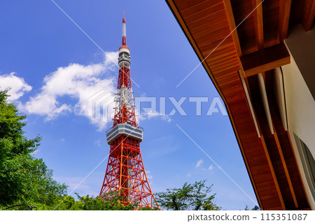 Tokyo Tower on a clear May day from Shiba Park (Minato Ward, Tokyo) 115351087