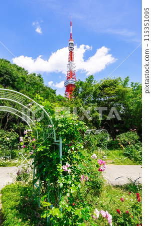 Tokyo Tower on a clear May day from Shiba Park (Minato Ward, Tokyo) Tokyo Tower on a clear May day from Shiba Park (Minato Ward, Tokyo) 115351095