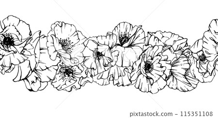 Hand drawn vector graphic botanical illustration flowers leaves. Red poppy papaver, stems buds seedpods. Seamless banner isolated white background. Design wedding, cards, remembrance day stationery Hand drawn vector graphic botanical illustration flowers leaves. Red poppy papaver, stems buds seedpods. Seamless banner isolated white background. Design wedding, cards, remembrance day stationery 115351108