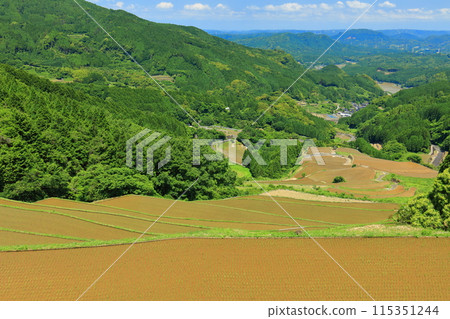 [Saga Prefecture] Terraced rice fields in Warabino during rice planting season 115351244