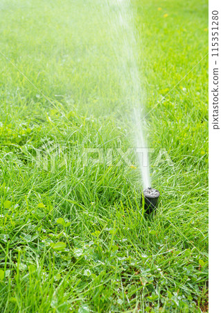 Automatic smart lawn sprinkler with adjustable head watering green lawn grass in sunny day 115351280