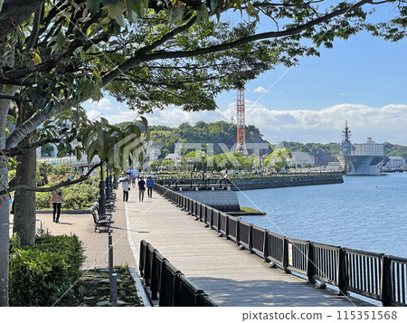 神奈川縣橫須賀市鹽入町橫須賀維爾尼公園 115351568