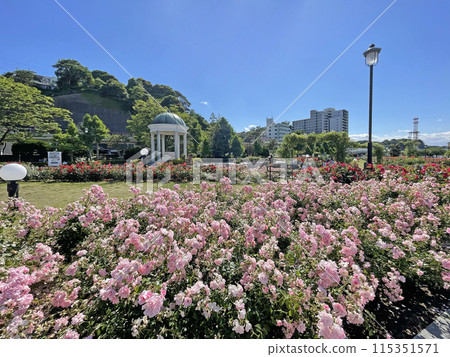 神奈川縣橫須賀市鹽入町橫須賀維爾尼公園 115351571