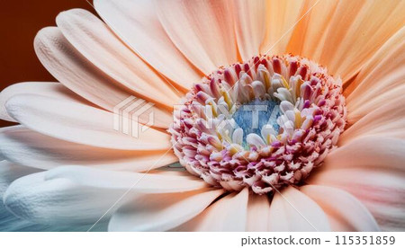 美麗的花特寫照片 115351859