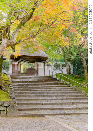 Kyoto City, Sakyo Ward, Higashiyama, Sumeranzan Anrakuji Temple, temple gate and autumn leaves Kyoto City, Sakyo Ward, Higashiyama, Sumeranzan Anrakuji Temple, temple gate and autumn leaves 115353043