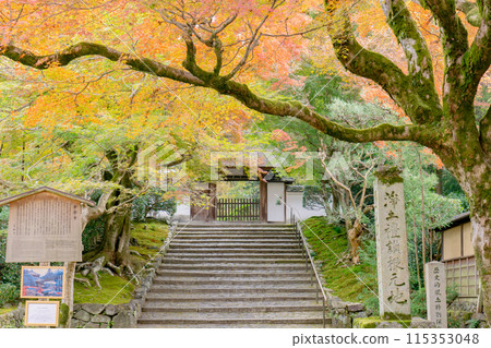 東山區、左京區、京都市、Sumirenzan 安樂寺、三門門和秋葉 115353048