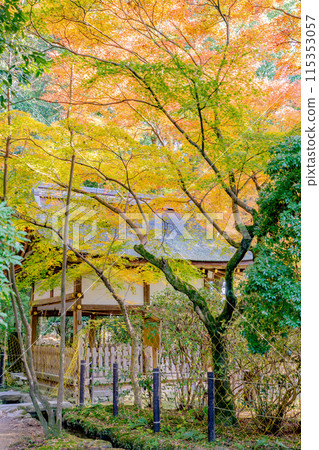 京都市北區上賀茂神社、上賀茂本山、加茂山口神社（澤田神社）的秋葉（秋天圖像） 115353057