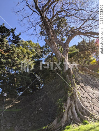 A landscape with stone walls A landscape with stone walls 115353802