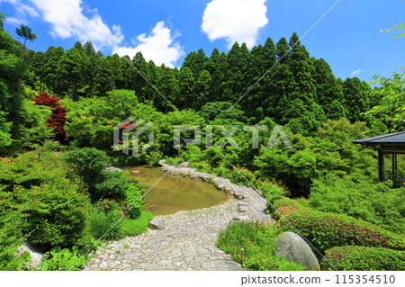 [佐賀縣]清新綠色環境藝術森林、清新綠色花園 115354510