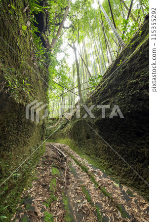 The green covered Yaguro Pass The green covered Yaguro Pass 115355292