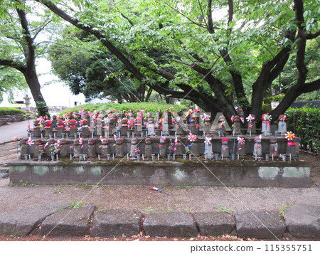地藏山增上寺 地藏山增上寺 115355751