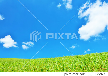 Hokkaido: A refreshing summer landscape of blue skies and fresh green grasslands Hokkaido: A refreshing summer landscape of blue skies and fresh green grasslands 115355974