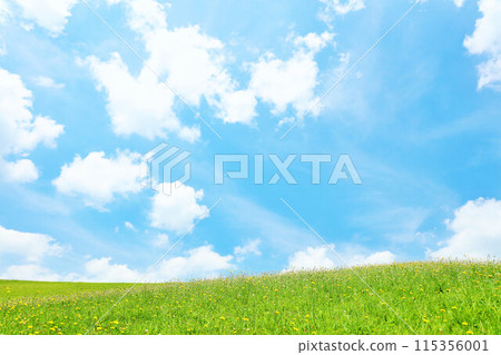 Hokkaido: A refreshing summer landscape of blue skies and fresh green grasslands Hokkaido: A refreshing summer landscape of blue skies and fresh green grasslands 115356001