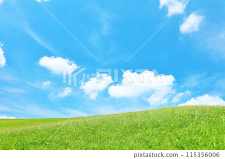 Hokkaido: A refreshing summer landscape of blue skies and fresh green grasslands Hokkaido: A refreshing summer landscape of blue skies and fresh green grasslands 115356006