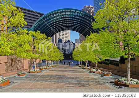 惠比壽花園廣場清新的綠色長廊 惠比壽花園廣場清新的綠色長廊 115356168