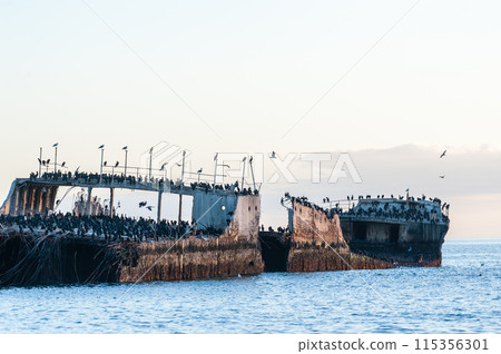 Shipwreck near the Californian coast Shipwreck near the Californian coast 115356301