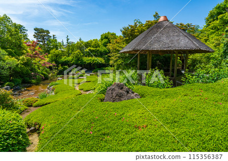 京都市右京區、妙心寺、泰藏院、陽光園 115356387