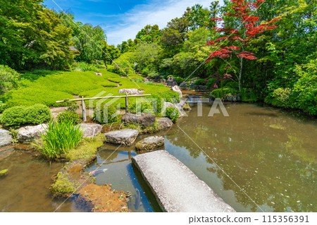 京都市右京區、妙心寺、泰藏院、陽光園 115356391