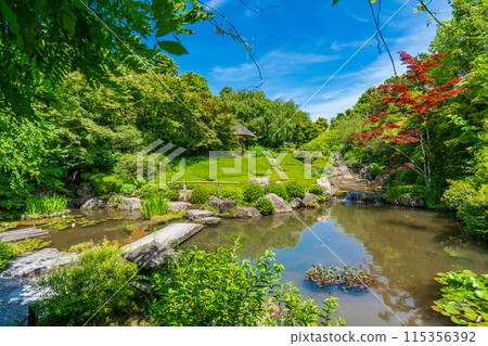 京都市右京區、妙心寺、泰藏院、陽光園 115356392